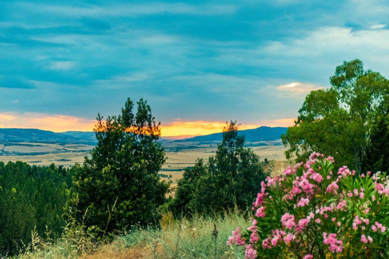 Palmadom - B&B And Original Experiences Montescaglioso Εξωτερικό φωτογραφία